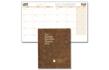 Budget Monthly Executive Planner