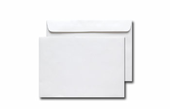 Monitor Mailing Envelope